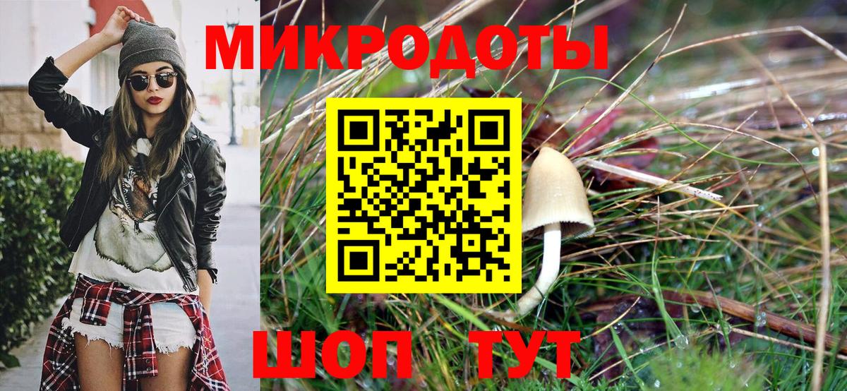 НБОМе Реж
