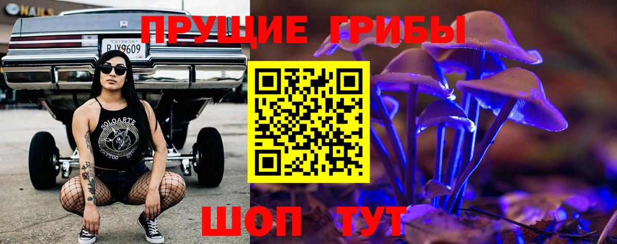 Реж  Галлюциногенные грибы Psilocybine cubensis  Вход с VPN  Галлюциногенные грибы Cubensis 