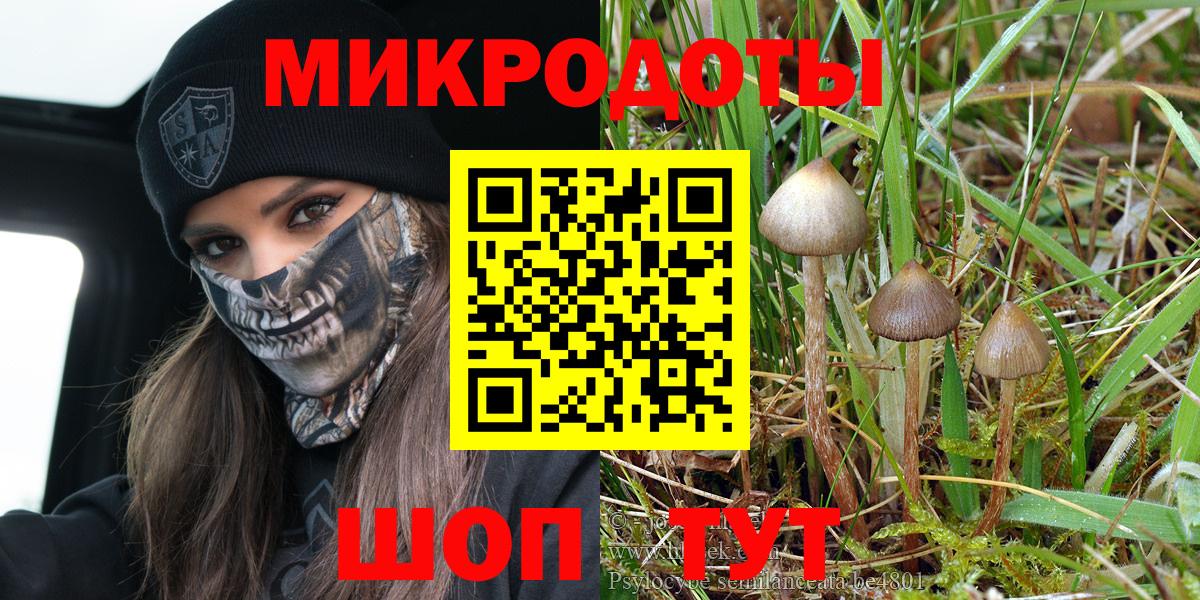 Галлюциногенные грибы GOLDEN TEACHER Реж